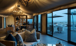 Luxury Hospitality